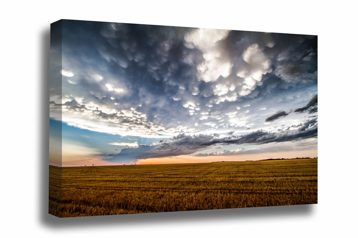 Western plains canvas wall art of a scenic sky over a freshly cut wheat field after a storm day in Texas by Sean Ramsey of Southern Plains Photography.