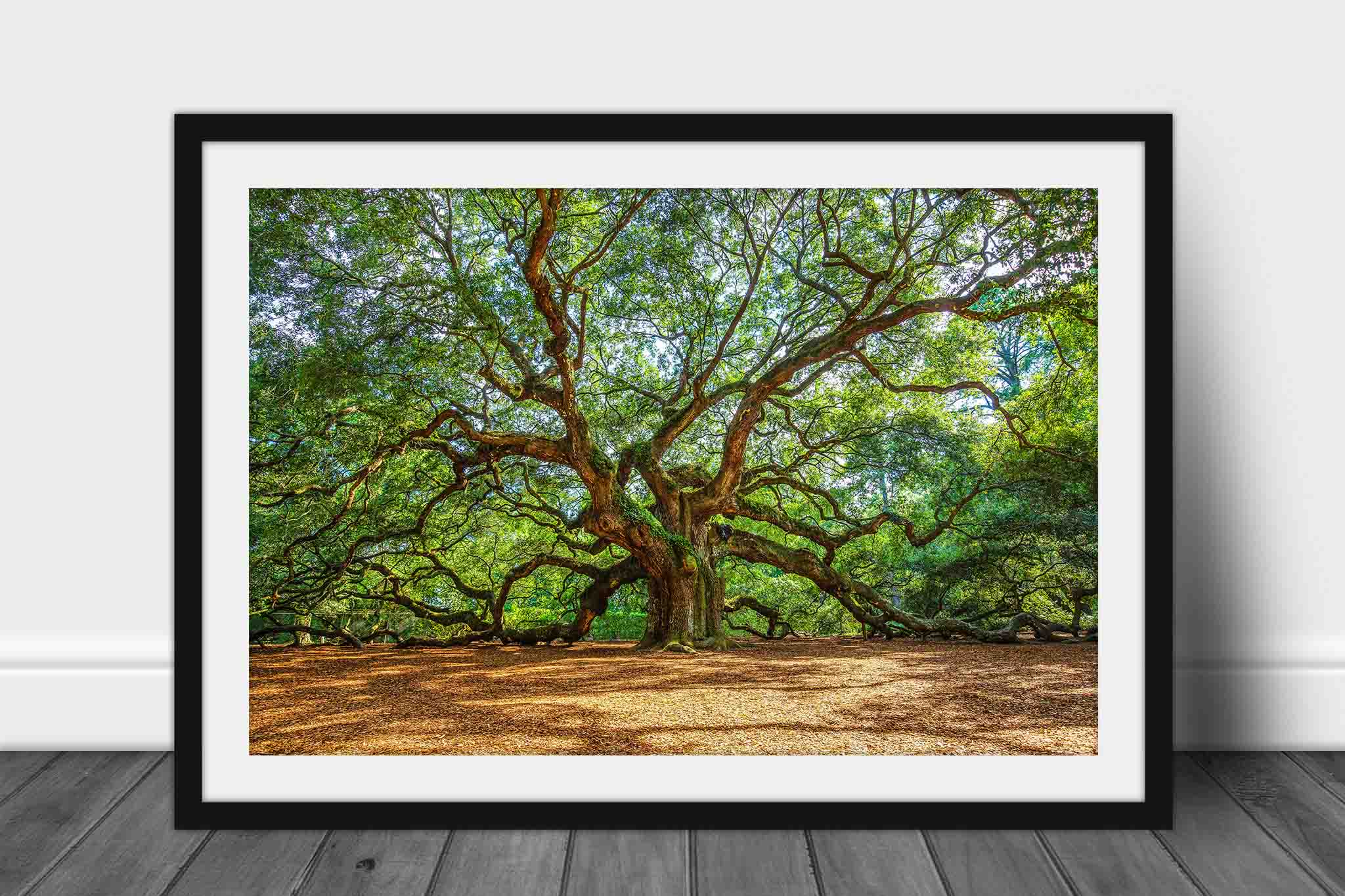 Selling Angel Oak Tree Large Framed Print in Gold Frame