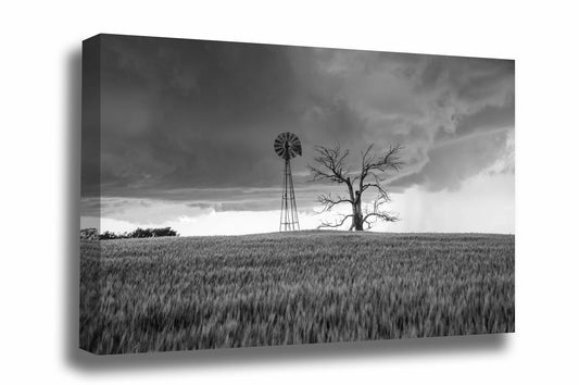 Farm canvas wall art of an old windmill and dead tree in a wheat field as a storm approaches in Oklahoma in black and white by Sean Ramsey of Southern Plains Photography.