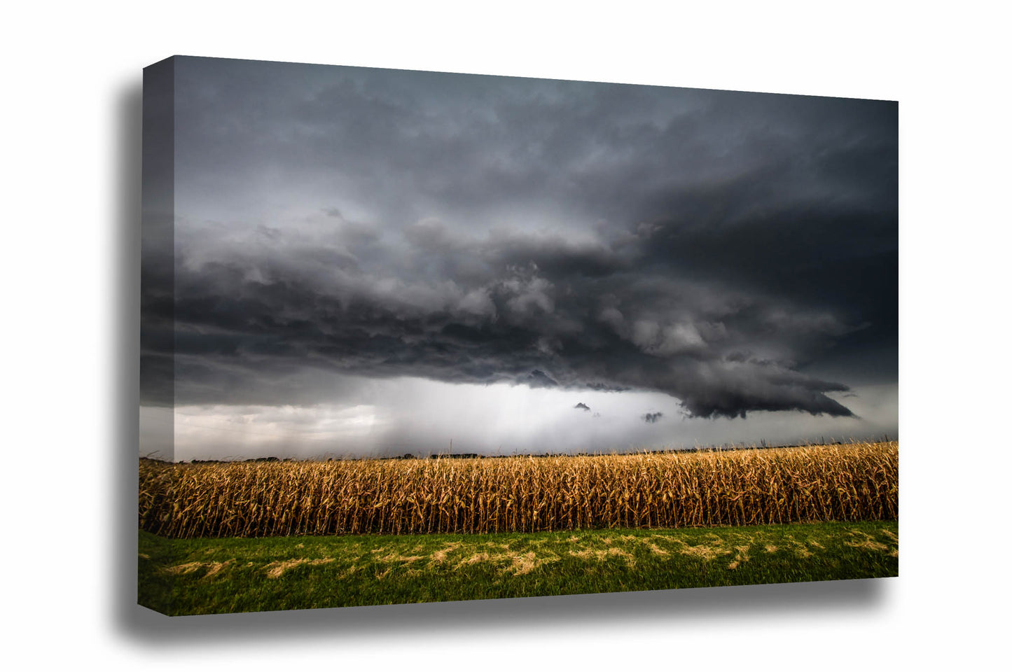 Storm canvas wall art of an intense thunderstorm advancing over a withered corn crop on an autumn day in Kansas by Sean Ramsey of Southern Plains Photography.