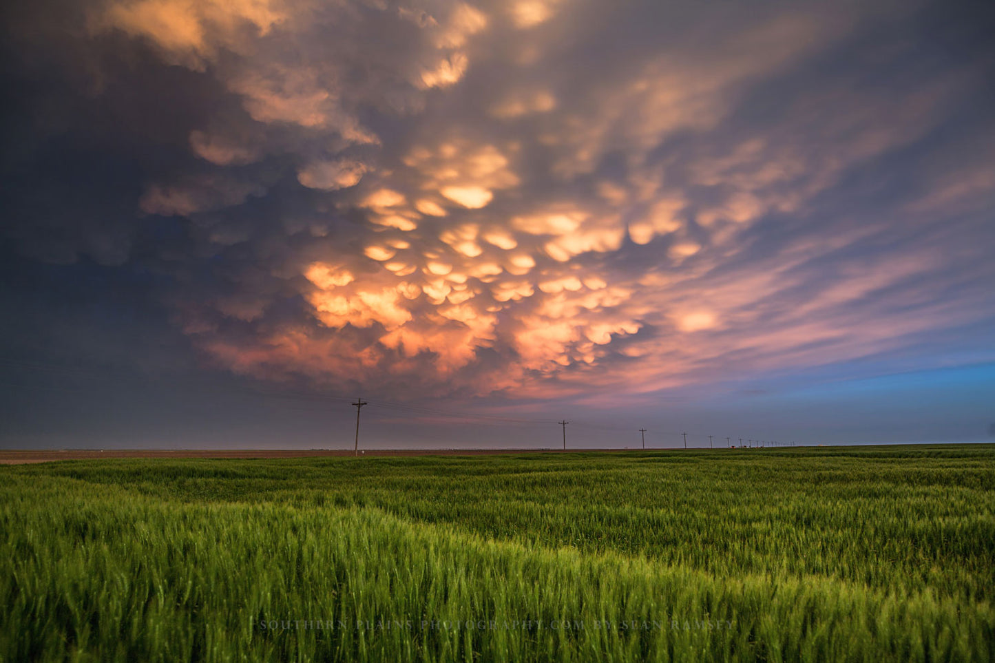 Sky photography print of mammatus clouds over a green wheat field at sunset after a stormy day in Kansas by Sean Ramsey of Southern Plains Photography.