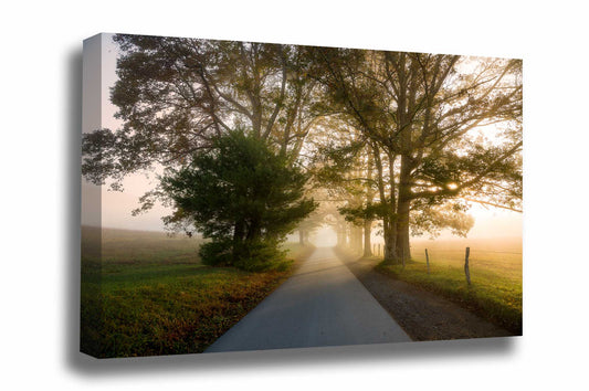 Ethereal canvas wall art of a road leading through sunlit fog and trees along Cades Cove Loop in the Great Smoky Mountains of Tennessee by Sean Ramsey of Southern Plains Photography.