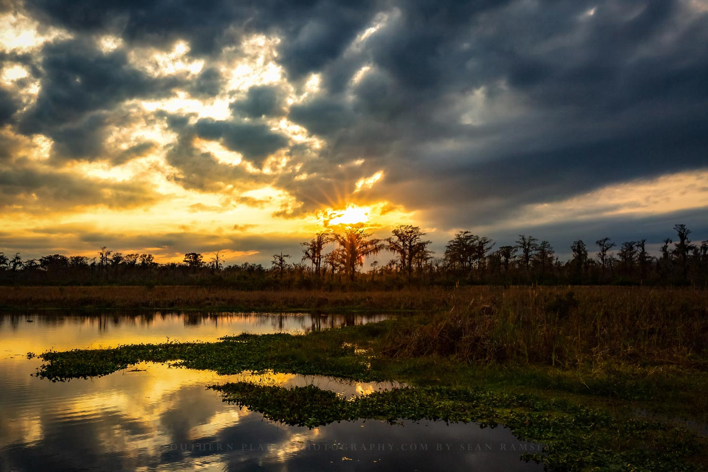 Swamp photography print of a golden sunset over a bayou on a winter evening near Houma, Louisiana by Sean Ramsey of Southern Plains Photography.