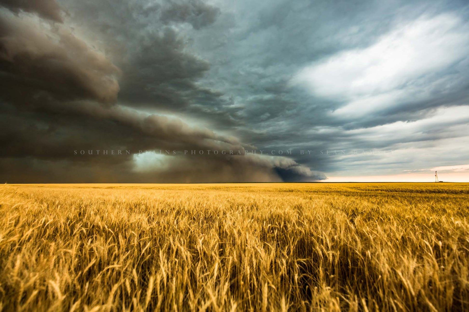 Storm photography print of a haboob thunderstorm carrying dust over a golden wheat field on a stormy spring day on the plains of eastern Colorado by Sean Ramsey of Southern Plains Photography.