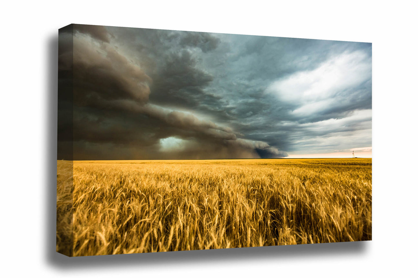Storm canvas wall art of a haboob thunderstorm carrying dust over a golden wheat field on a stormy spring day on the plains of Colorado by Sean Ramsey of Southern Plains Photography.