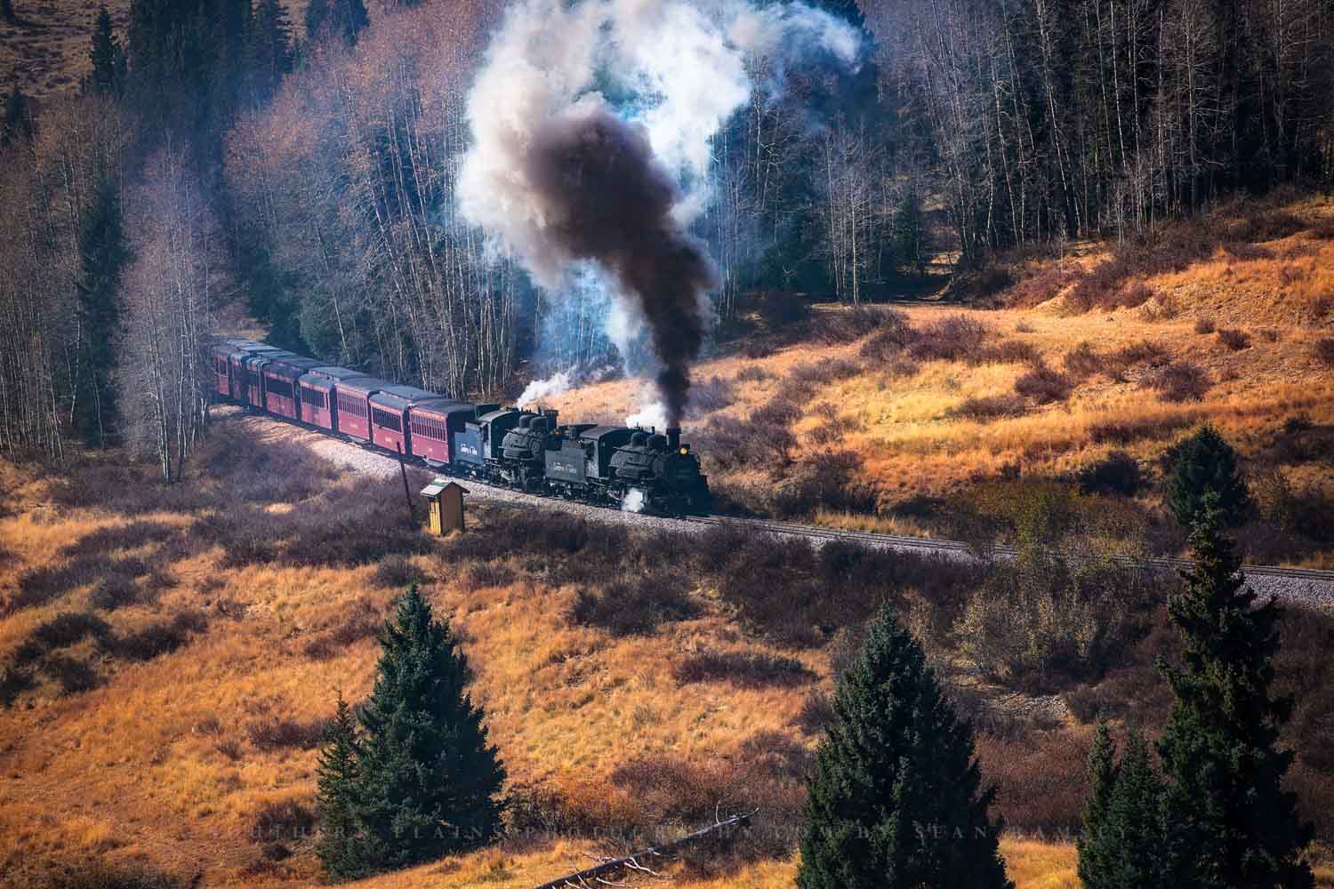 Train photography print of a steam engine emerging from a forest in the Rocky Mountains of Colorado by Sean Ramsey of Southern Plains Photography.