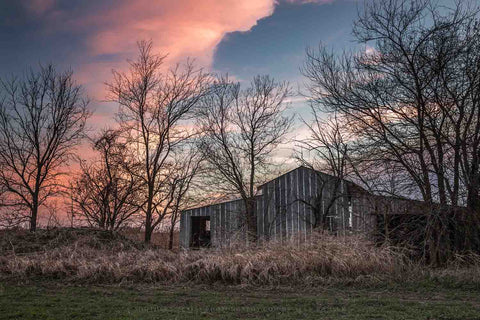 Country photography print of an abandoned barn hidden in leafless trees at sunset on a spring evening in Kansas by Sean Ramsey of Southern Plains Photography.