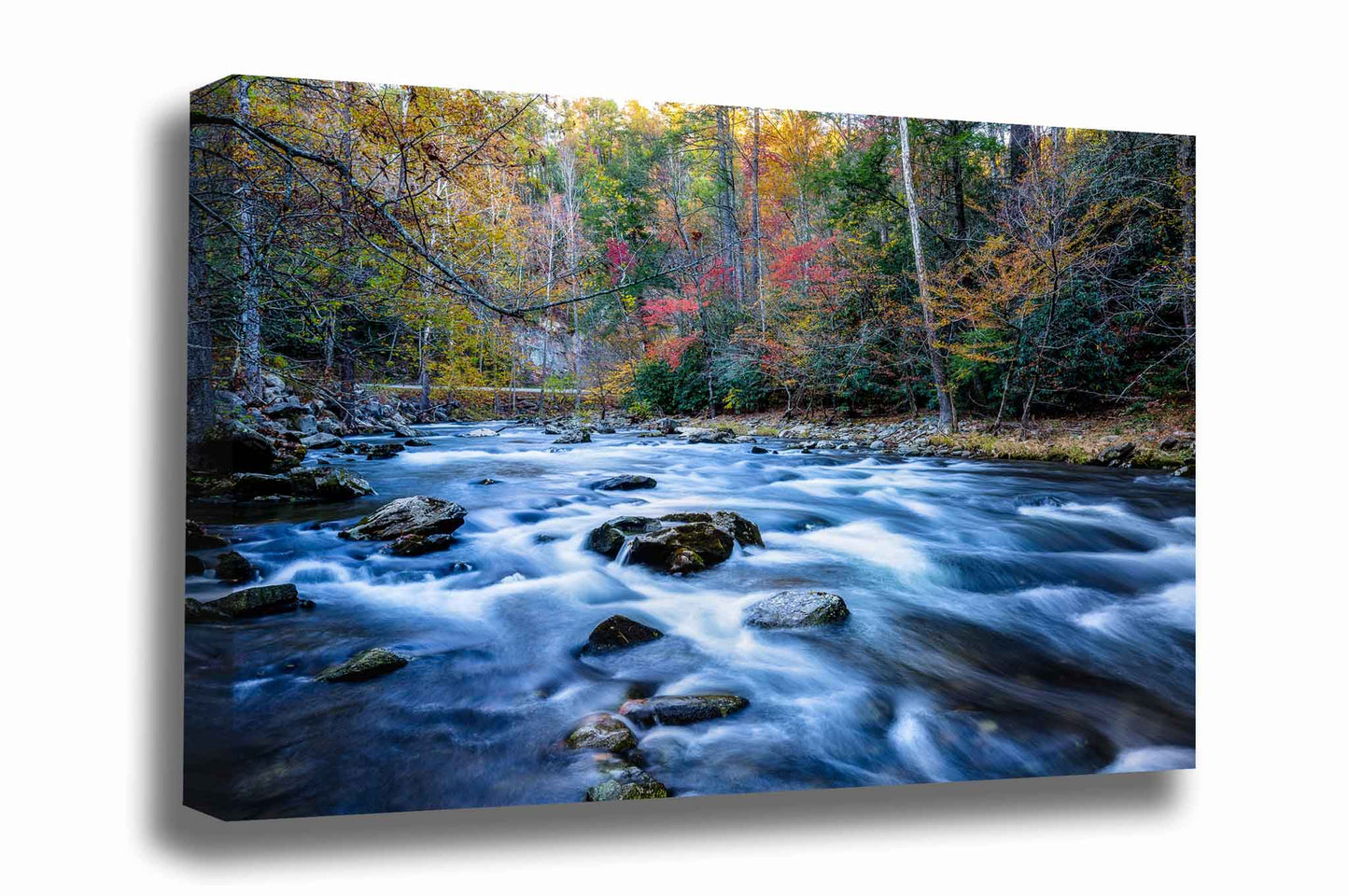 Landscape canvas wall art of Laurel Creek rushing through fall color on an autumn day in the Great Smoky Mountains of Tennessee by Sean Ramsey of Southern Plains Photography.