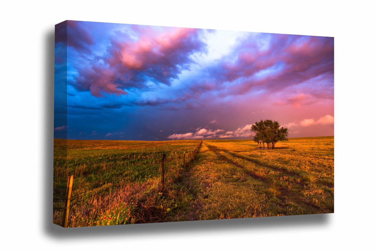 Great plains canvas wall art of a barbed wire fence, worn path and a grove of trees underneath a stormy sky on a spring day in the Oklahoma panhandle by Sean Ramsey of Southern Plains Photography.