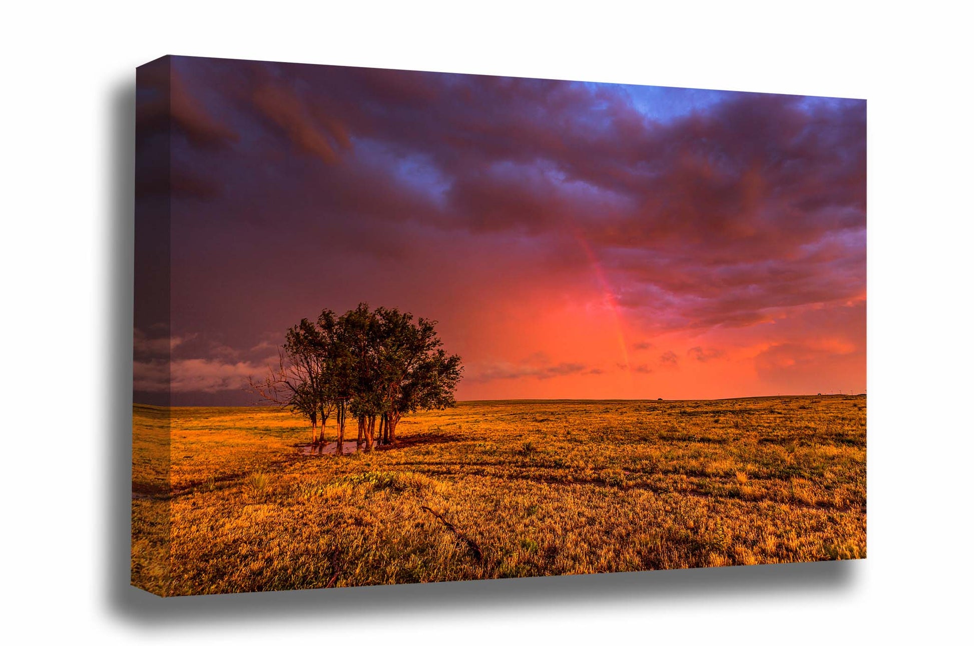 Great Plains canvas wall art of a rainbow in a stormy sky over a grove of trees on the open prairie at sunset on a spring evening in the Oklahoma Panhandle by Sean Ramsey of Southern Plains Photography.