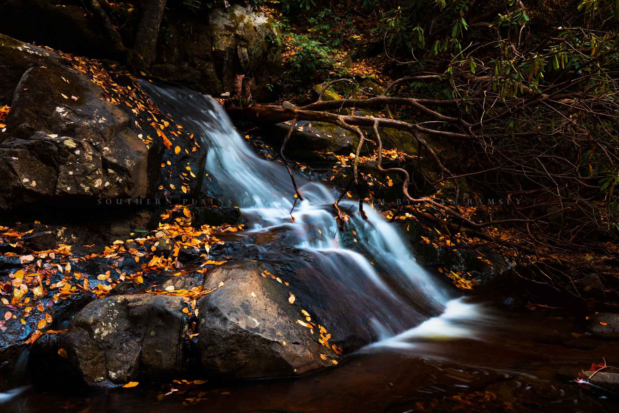 Waterfall photography print of Laurel Falls adorned with golden leaves on an autumn day in Great Smoky Mountains National Park by Sean Ramsey of Southern Plains Photography.
