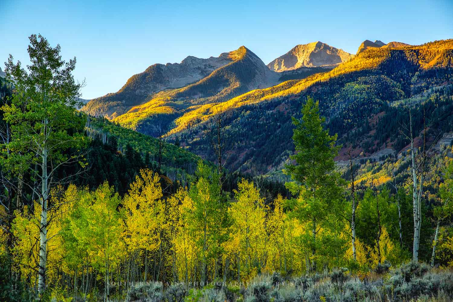 Rocky Mountain photography print of Chair Mountain and Elk Mountain overlooking golden aspen trees on an autumn morning in Colorado by Sean Ramsey of Southern Plains Photography.