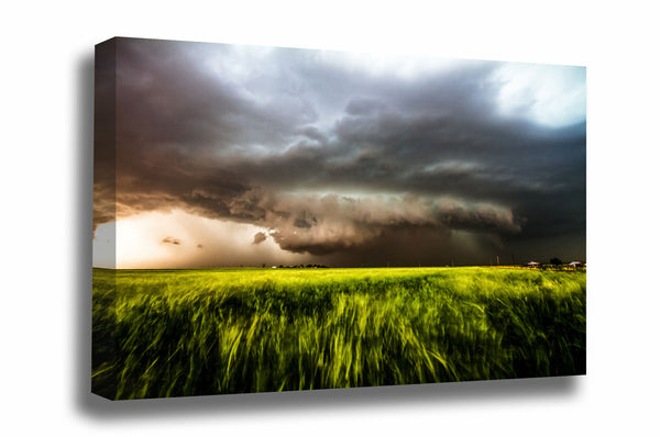 Storm canvas wall art of a powerful supercell thunderstorm's inflow winds pulling wheat toward it on a stormy spring day in Oklahoma by Sean Ramsey of Southern Plains Photography.