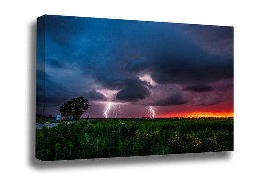 Storm canvas wall art of lightning striking as a firefly whirls about at sunset on a stormy evening in Oklahoma by Sean Ramsey of Southern Plains Photography.