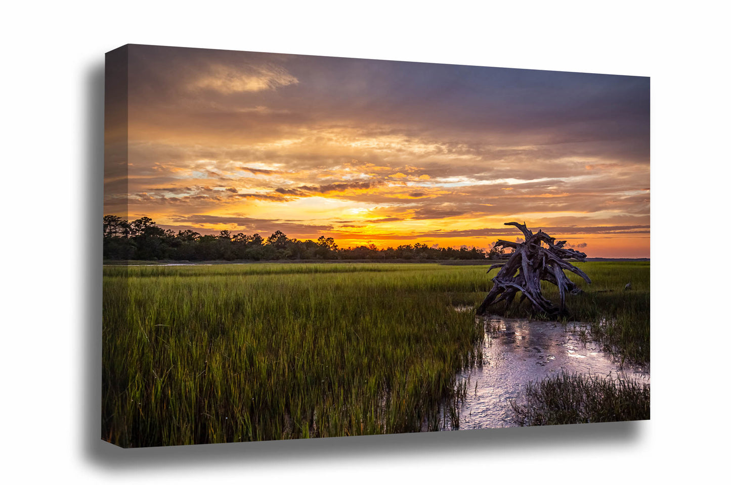 Lowcountry canvas wall art of a dead tree in a salt marsh as a scenic sunset takes place on Pinckney Island, South Carolina by Sean Ramsey of Southern Plains Photography.