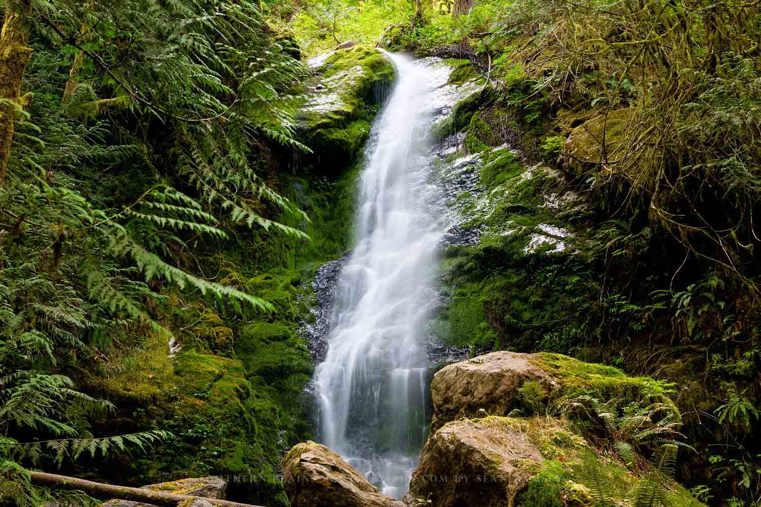 Waterfall photography print of Merriman Falls in the Quinault Rainforest of Olympic National Park in Washington state by Sean Ramsey of Southern Plains Photography.