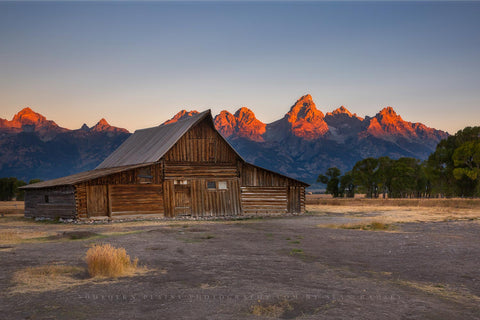 The Grand Tetons with alpenglow overlook Moulton Barn on an autumn morning in Wyoming.