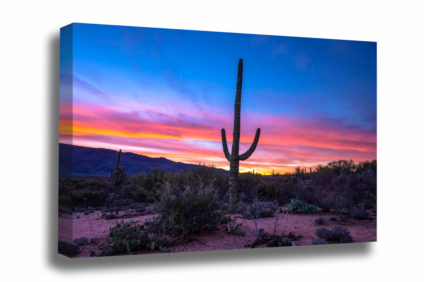 Southwestern canvas wall art of a saguaro cactus standing tall over the Sonoran Desert floor at sunrise in Saguaro National Park near Tucson, Arizona by Sean Ramsey of Southern Plains Photography.