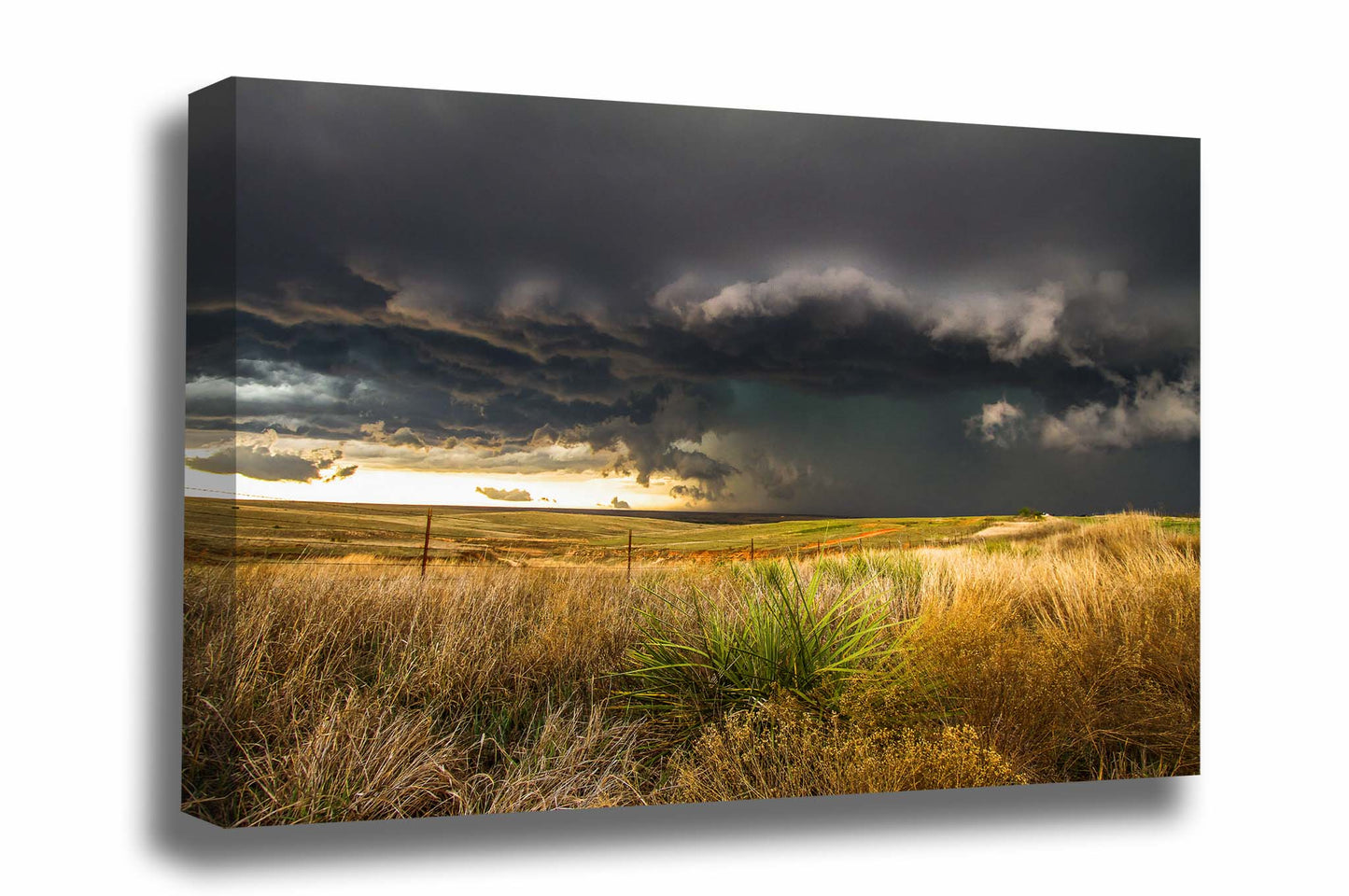Storm canvas wall art of a thunderstorm over open prairie and a yucca plant on a stormy spring day in the Texas panhandle by Sean Ramsey of Southern Plains Photography.