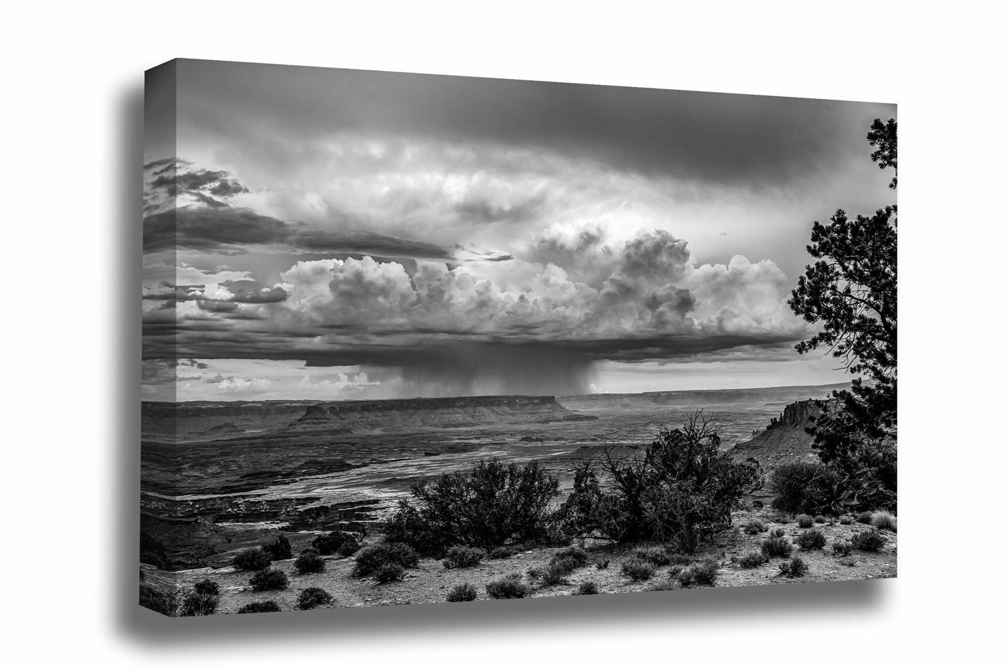 Black and white western landscape canvas wall art of a thunderstorm dropping rain over a mesa in Canyonlands National Park, Utah by Sean Ramsey of Southern Plains Photography.