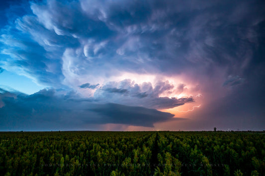 Storm photography print of lightning illuminating a supercell thunderstorm over a field at dusk in Nebraska by Sean Ramsey of Southern Plains Photography.