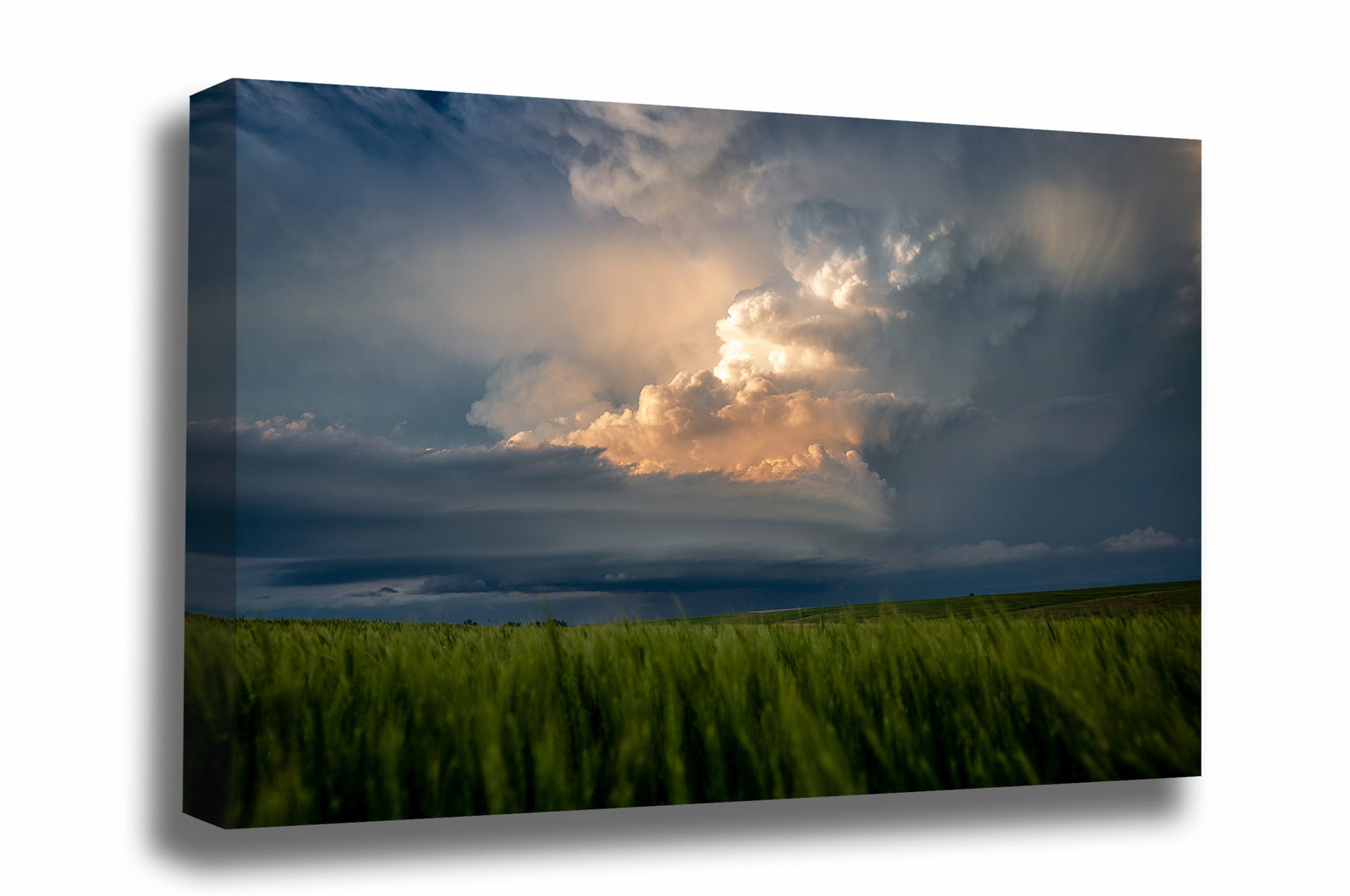 Thunderstorm canvas wall art of a storm illuminated by golden sunlight over a wheat field on a stormy spring day in Kansas by Sean Ramsey of Southern Plains Photography.