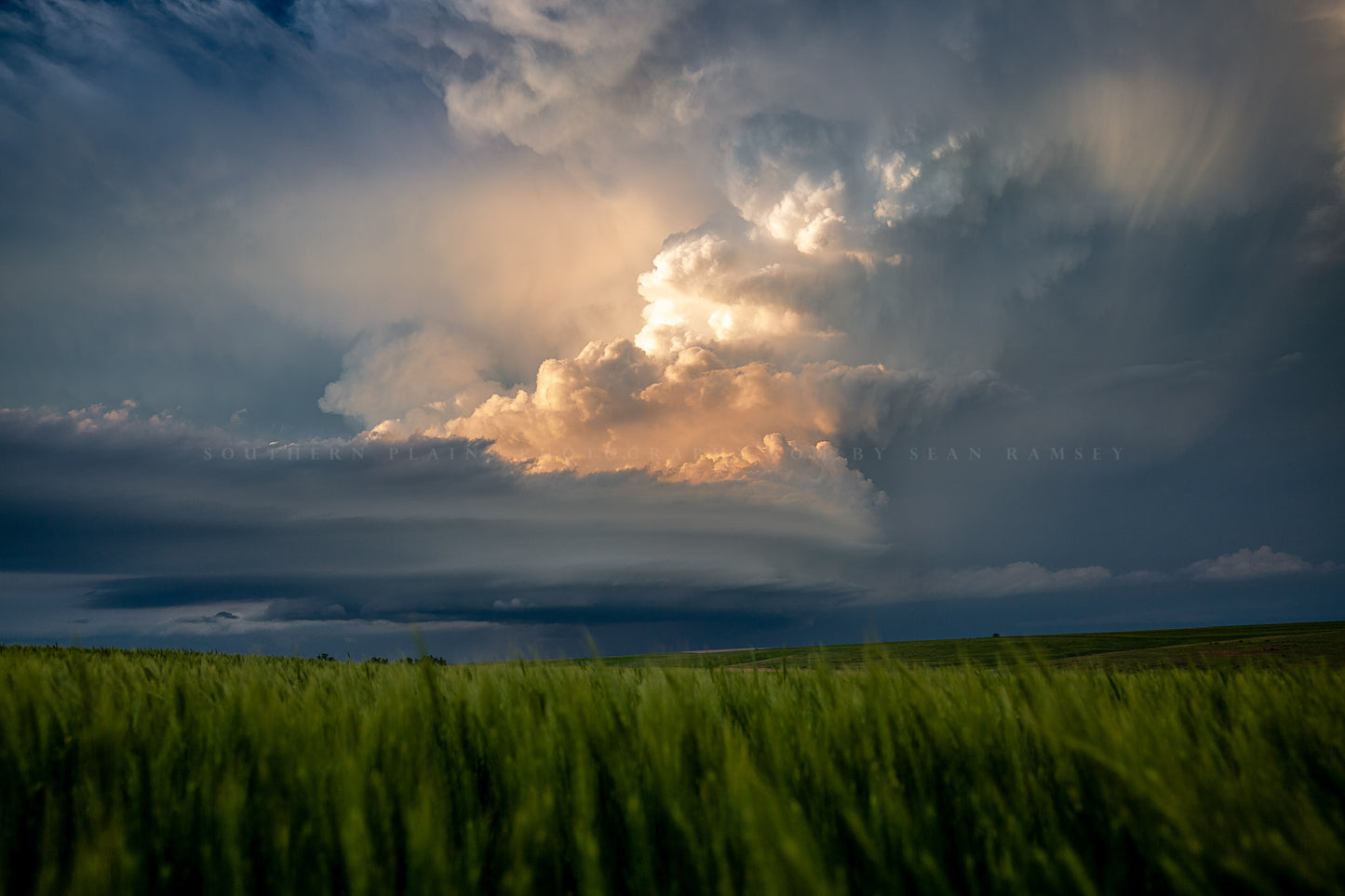 Storm photography print of a thunderstorm illuminated by evening sunlight over a wheat field at sunset on a stormy spring evening in Kansas by Sean Ramsey of Southern Plains Photography.
