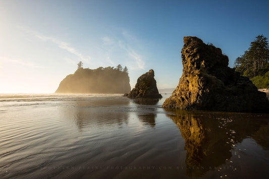 Coastal photography print of sea stacks in evening sunlight on Ruby Beach in Washington state by Sean Ramsey of Southern Plains Photography.