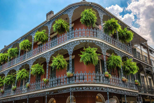 A corner building with hanging ferns in the New Orleans French Quarter.