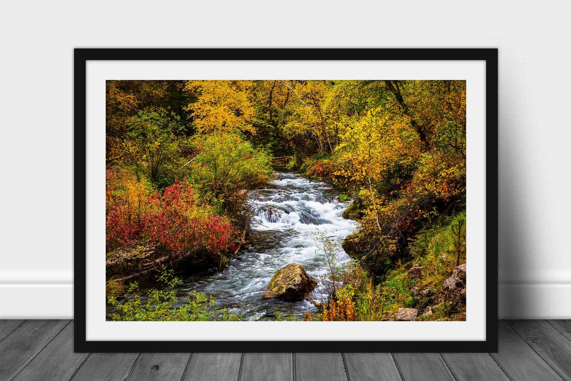 Framed Black Hills print of Spearfish Creek flowing through fall foliage on autumn day in Spearfish Canyon, South Dakota by Sean Ramsey of Southern Plains Photography.