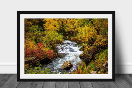 Framed Black Hills print of Spearfish Creek flowing through fall foliage on autumn day in Spearfish Canyon, South Dakota by Sean Ramsey of Southern Plains Photography.