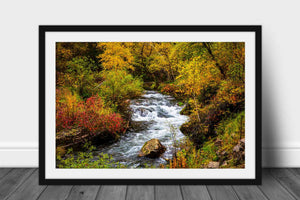 Framed and Matted Photo Print | Spearfish Canyon Picture | South Dakota Wall Art | Black Hills Photography | Nature Decor