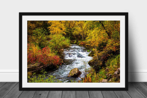 Framed and Matted Photo Print | Spearfish Canyon Picture | South Dakota Wall Art | Black Hills Photography | Nature Decor