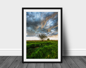 Vertical framed and matted photography print of a lone tree under storm clouds on a stormy day on the plains of Kansas by Sean Ramsey of Southern Plains Photography.