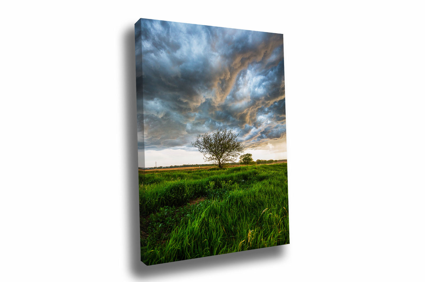 Vertical Great Plains canvas wall art of a lone tree under a stormy sky on a spring day in Kansas by Sean Ramsey of Southern Plains Photography.