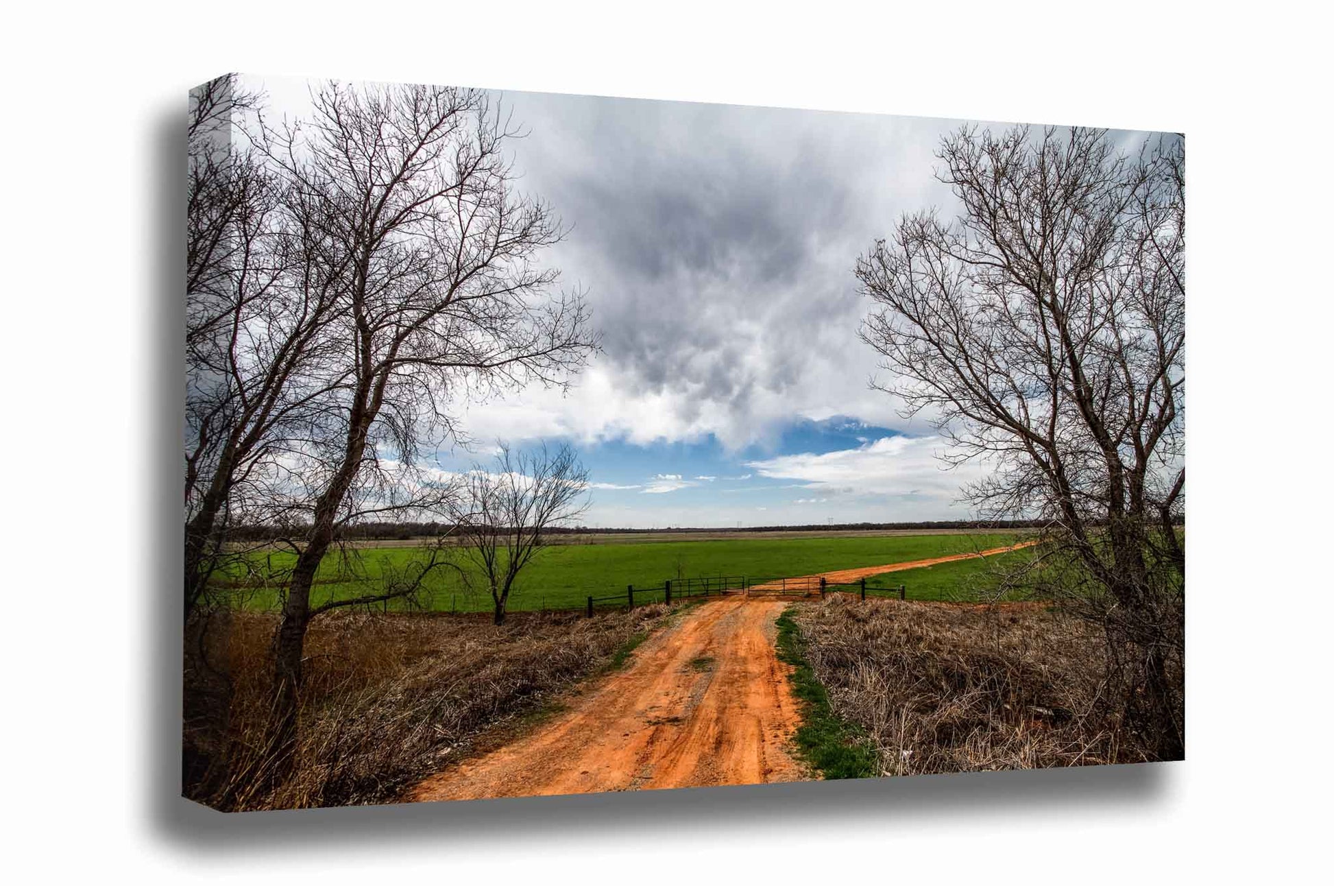 Country canvas wall art of a dirt road between trees leading to a field and to memories of times in rural Oklahoma by Sean Ramsey of Southern Plains Photography.