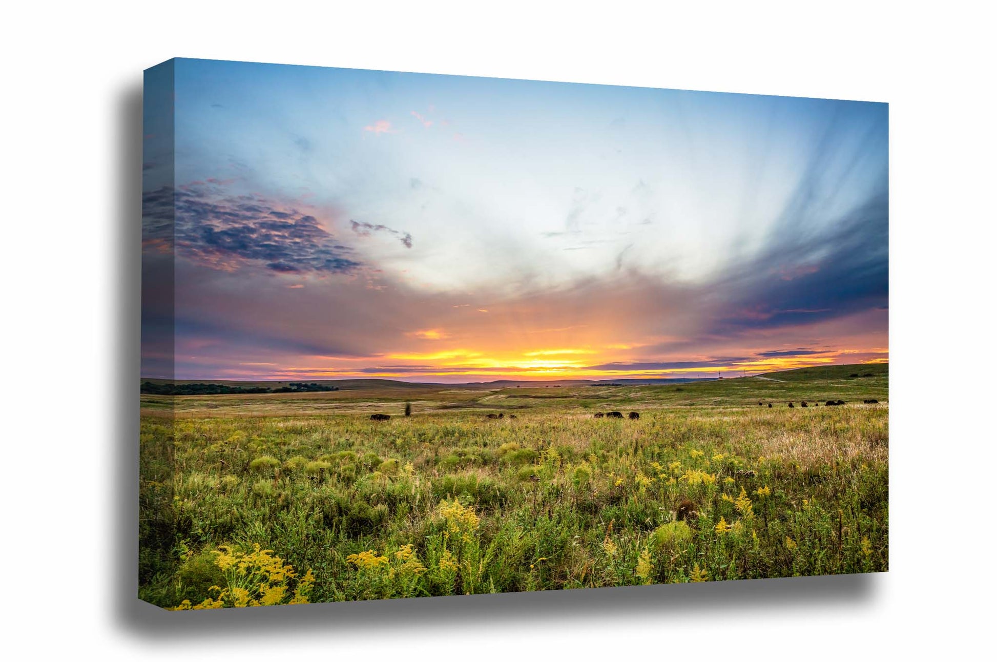 Great Plains canvas wall art of a scenic sunset over the Tallgrass Prairie on an autumn evening in Osage County, Oklahoma by Sean Ramsey of Southern Plains Photography.