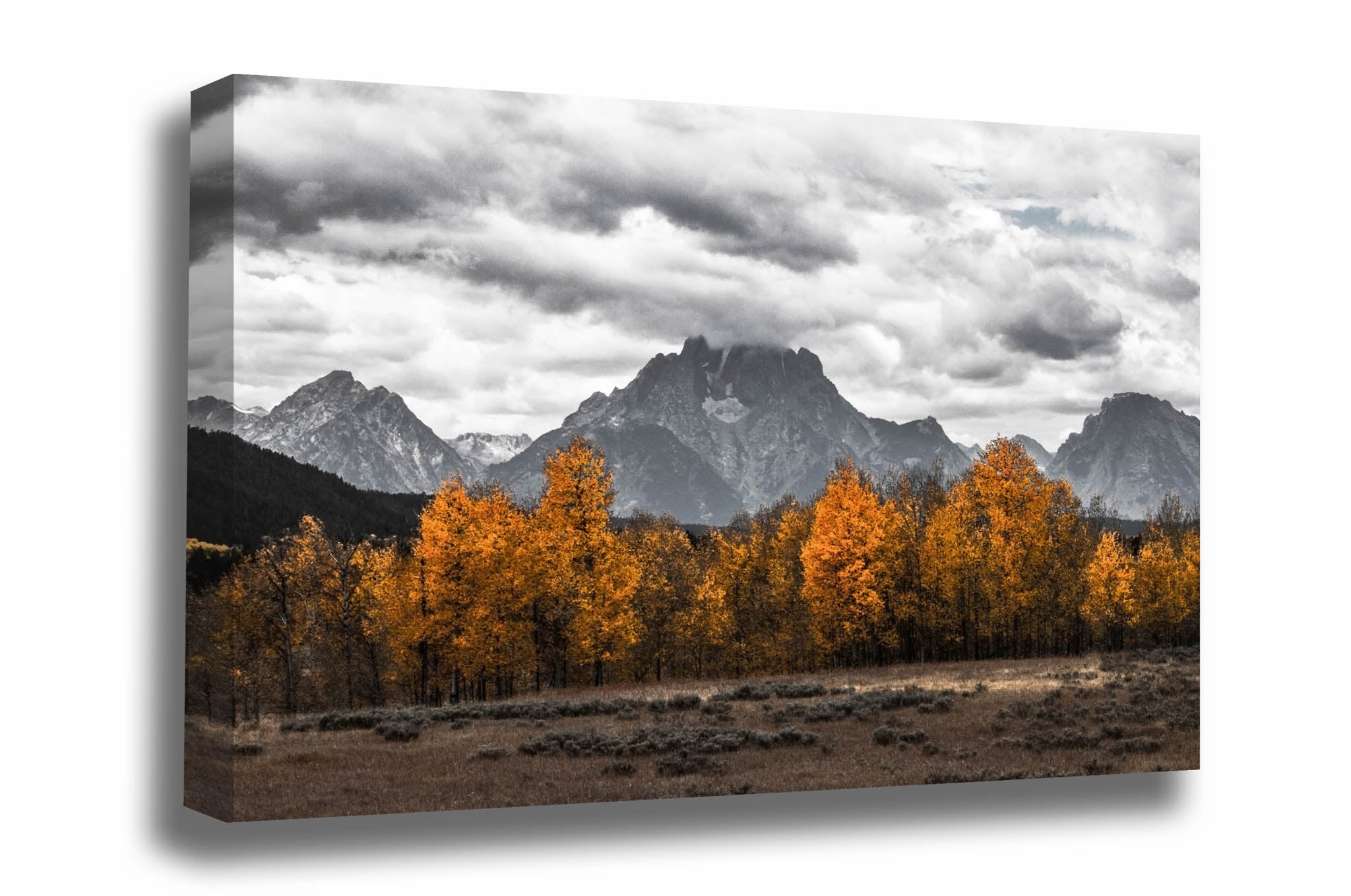 Rocky Mountain canvas wall art of Mount Moran overlooking golden aspen trees on an autumn day in Grand Teton National Park, Wyoming by Sean Ramsey of Southern Plains Photography.