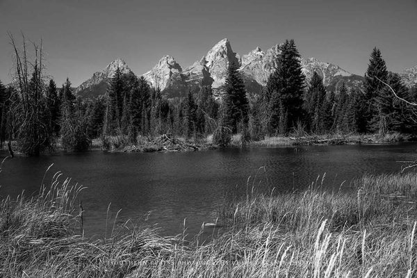 Grand Teton overlooks the waters of Schwabacher Landing on an autumn day in Grand Teton National Park, Wyoming in black and white by Sean Ramsey of Southern Plains Photography.