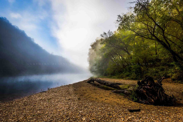 Landscape photography print of a fallen tree on a foggy morning along the banks of the Buffalo River in the Ozark Mountains of Arkansas by Sean Ramsey of Southern Plains Photography.