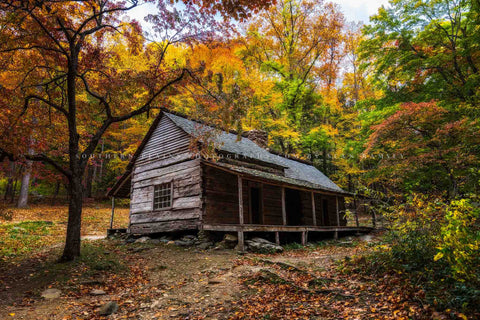 Rustic country photography print of the Bud Ogle Cabin surrounded by fall foliage on an autumn day in the Great Smoky Mountains near Gatlinburg, Tennessee by Sean Ramsey of Southern Plains Photography.