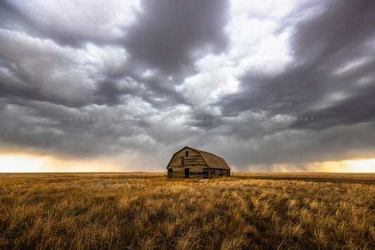 Country photography print of an old barn nestled in golden prairie grass under a stormy sky on a spring day in Oklahoma by Sean Ramsey of Southern Plains Photography.