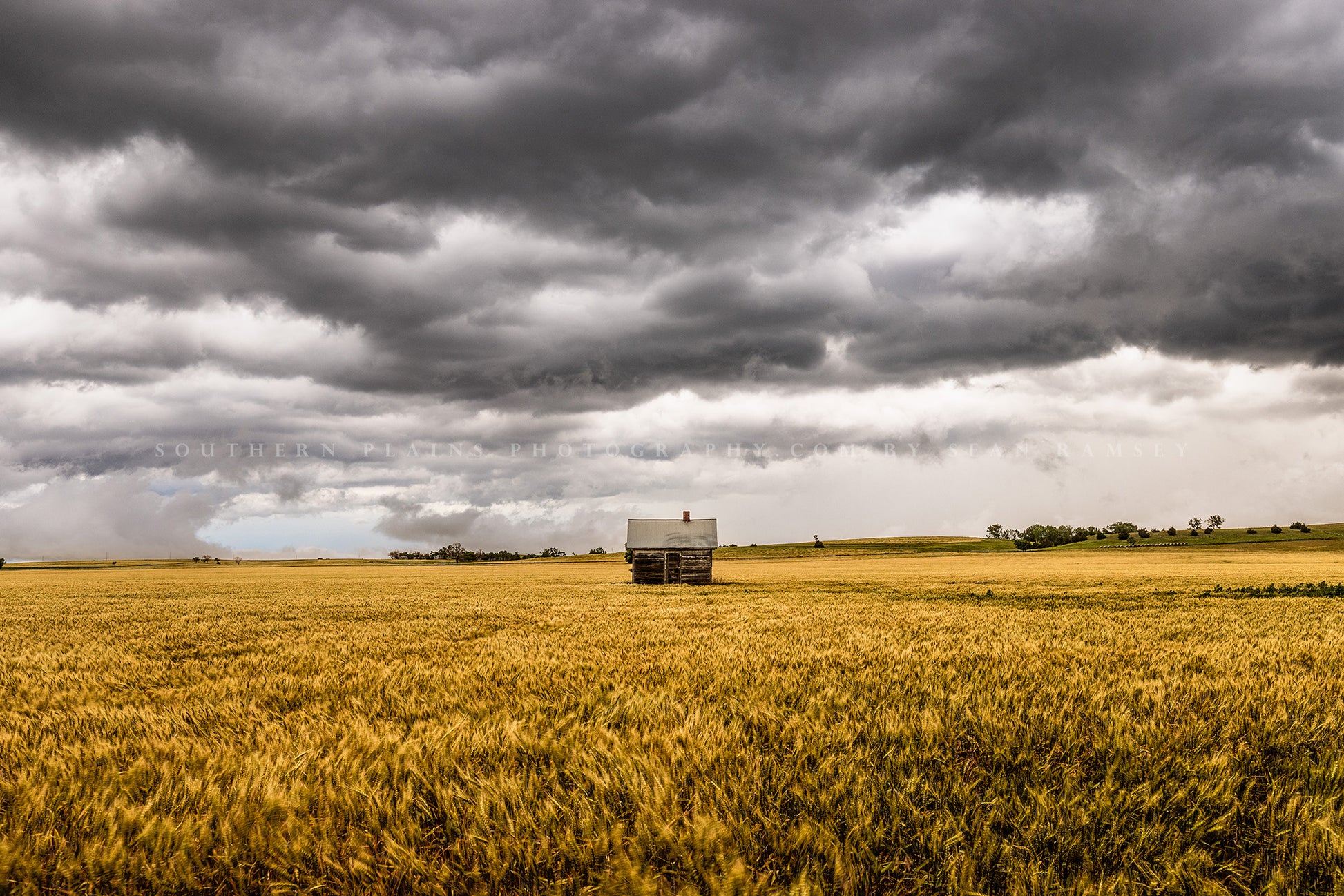 Farm photography print of a well pump house in a wheat field under a stormy sky on a late spring day in Kansas by Sean Ramsey of Southern Plains Photography.