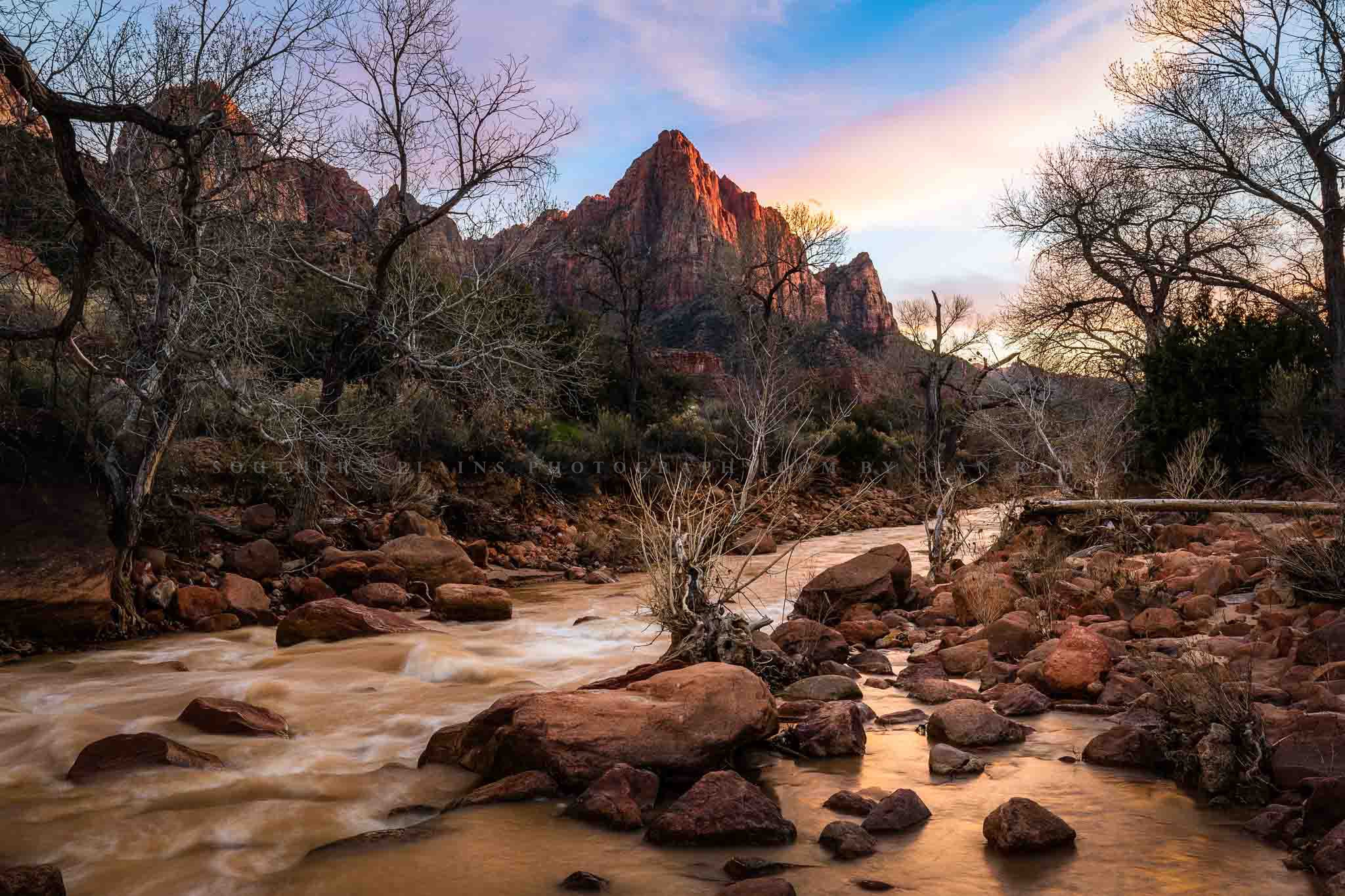 Southwestern landscape photography print of The Watchman overlooking the Virgin River at sunset on a spring evening in Zion National Park, Utah by Sean Ramsey of Southern Plains Photography.