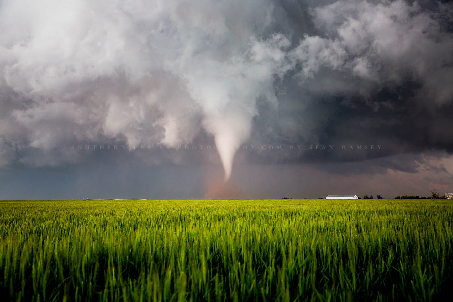 Storm photography print of a large white tornado over a green wheat field on a stormy spring day in Texas by Sean Ramsey of Southern Plains Photography.
