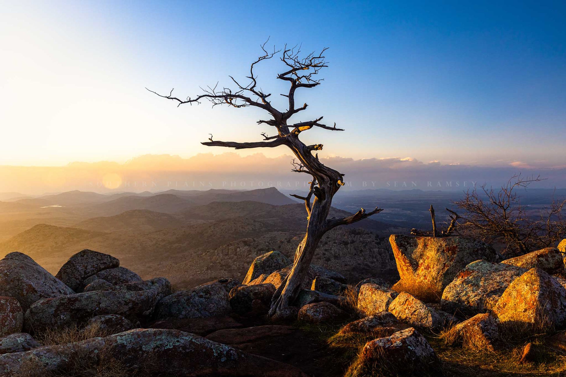 Great Plains photography print of a weathered tree overlooking the Oklahoma landscape at sunset at the summit of Mount Scott in the Wichita Mountains Wildlife Refuge by Sean Ramsey of Southern Plains Photography.