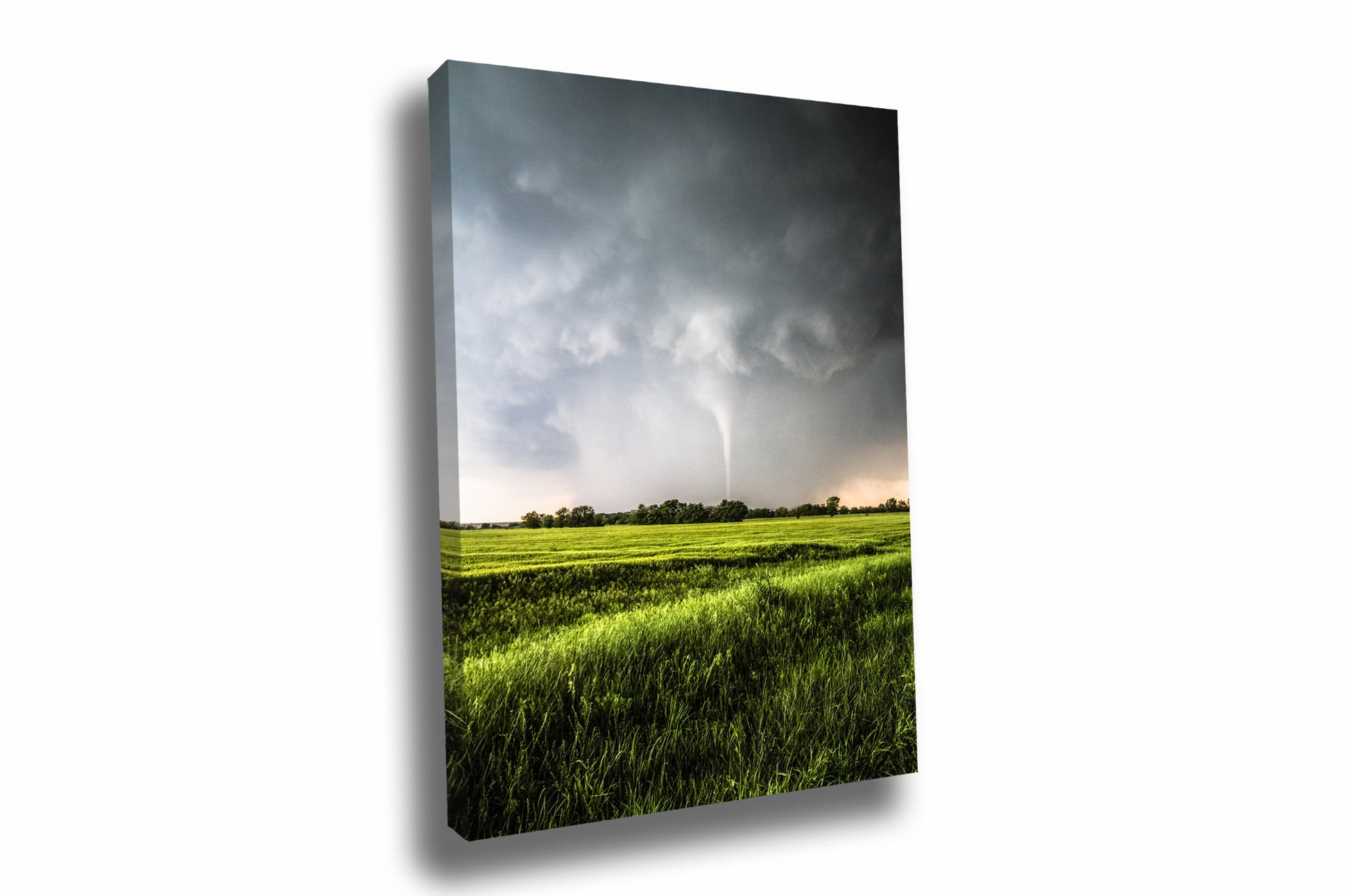 Vertical storm canvas wall art of a tornado emerging from heavy rain over a green wheat field on a stormy spring day in Kansas by Sean Ramsey of Southern Plains Photography.