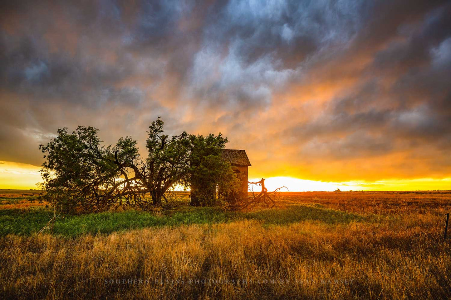 Modern country photography print of an old barn and windswept tree at sunset on a stormy evening in Oklahoma by Sean Ramsey of Southern Plains Photography.