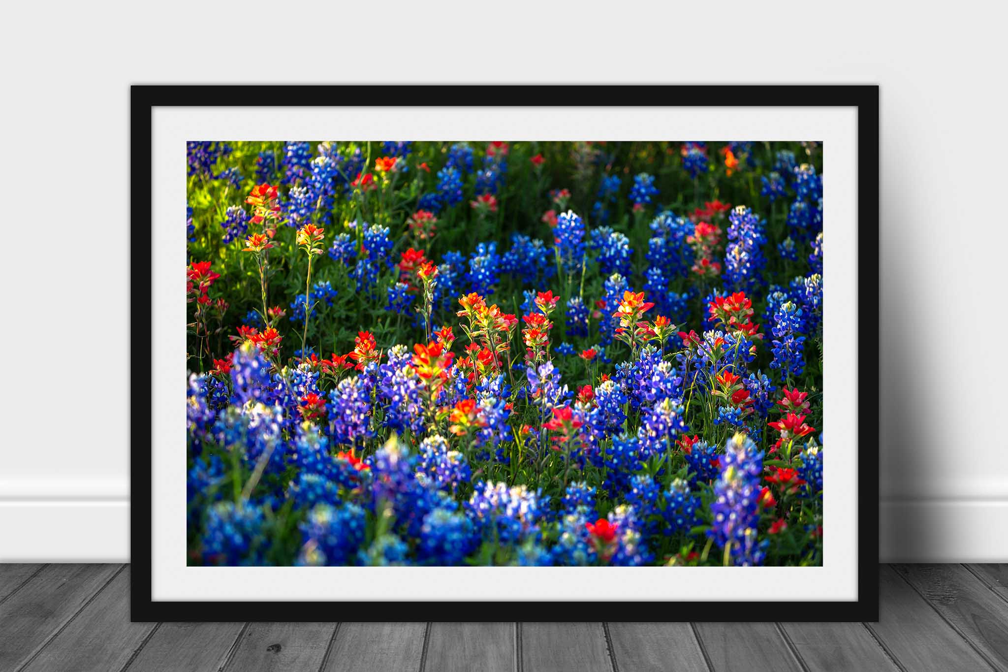 Framed and matted photography print of bluebonnets and Indian paintbrush wildflowers on a spring day in Texas by Sean Ramsey of Southern Plains Photography.